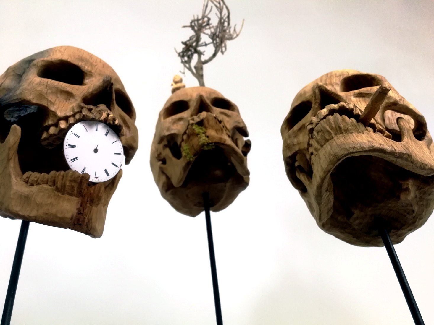 Skull, Wood work by Joachim Seitfudem